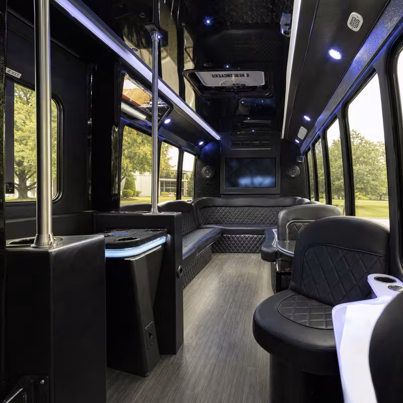 Passenger watching the Phoenix scenery during a regional party bus road trip